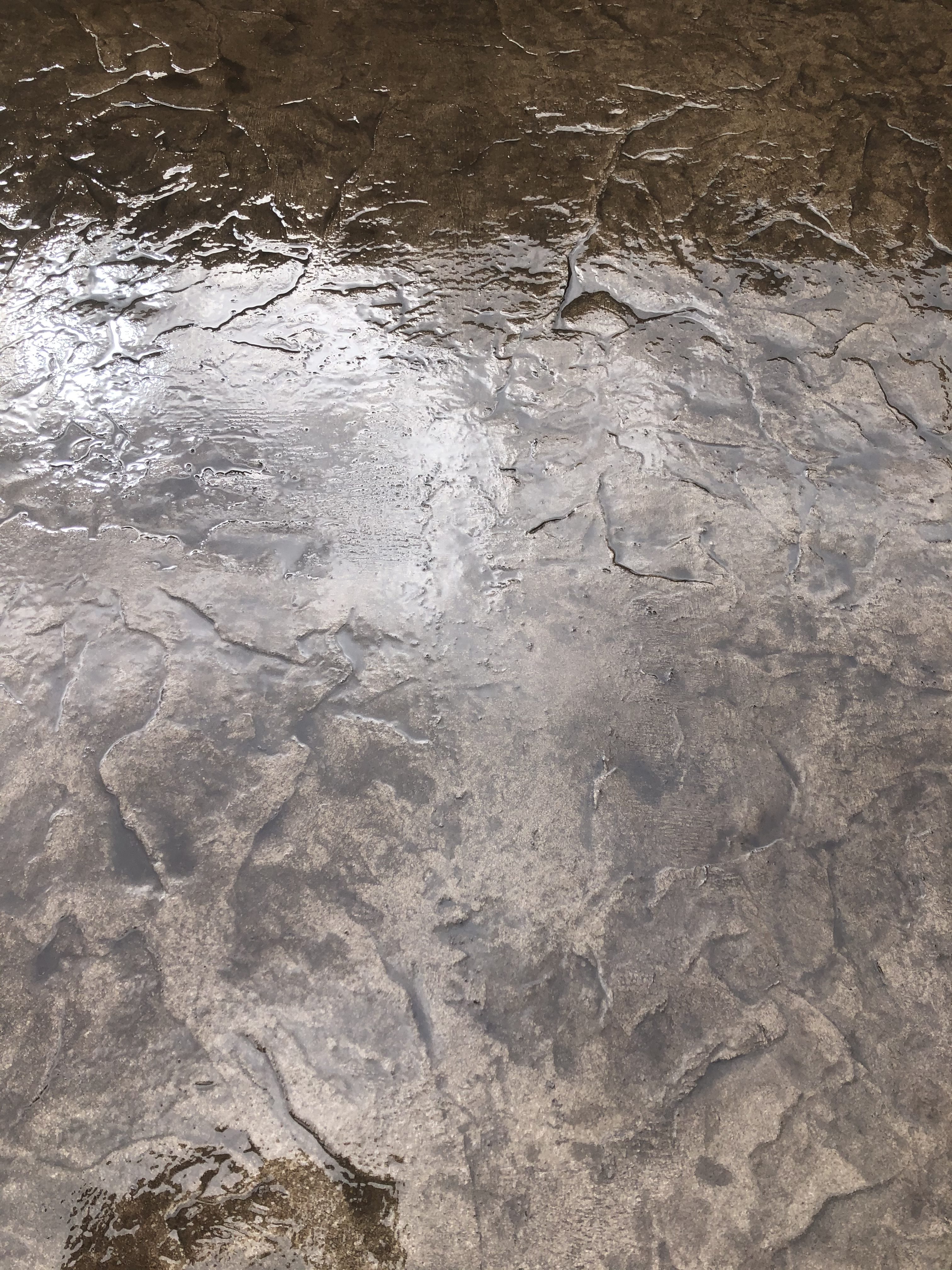 Stamped Concrete